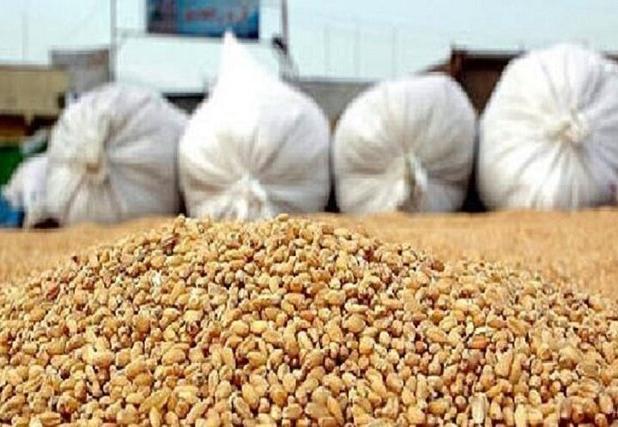 کشف ۱۰ تُن نهاده دامی قاچاق در خراسان شمالی