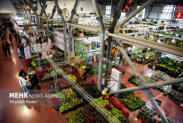 ۶۰ هزار اصله گل و گیاه زینتی از آمل به عراق صادر شد