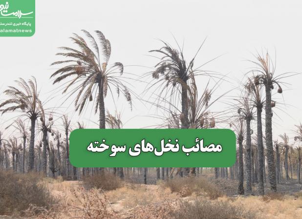 مصائب نخل‌های سوخته