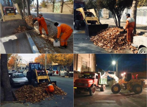 ۴ تن برگ درخت در گلپایگان جمع آوری شد