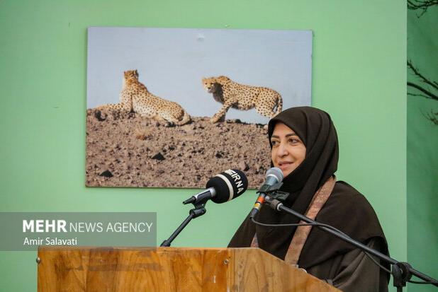 انصاری: اصلاح قوانین حمل اسلحه برای محیط‌بانان؛ «خوارزمی» آزاد شد