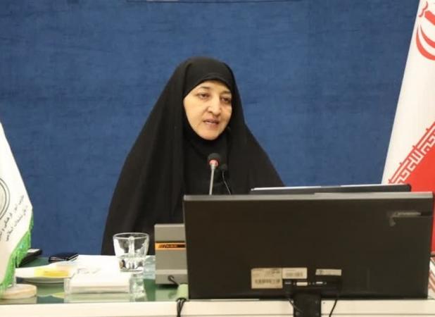 در نشست «سبک زندگی؛ نرم‌افزار تمدن» تأکید شد: لزوم تببین کامل الگوی سوم زن مسلمان