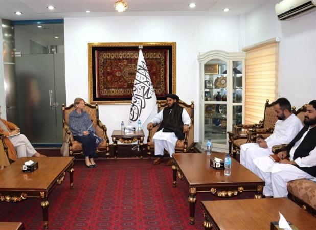 سفیر طالبان در اسلام‌آباد: روند بازگشت پناهجویان افغان نیازمند مهلت بیشتر است