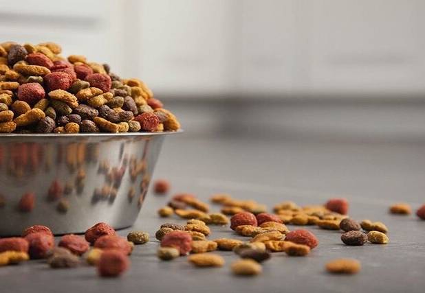 کشف محموله قاچاق غذای حیوانات خانگی در قشم