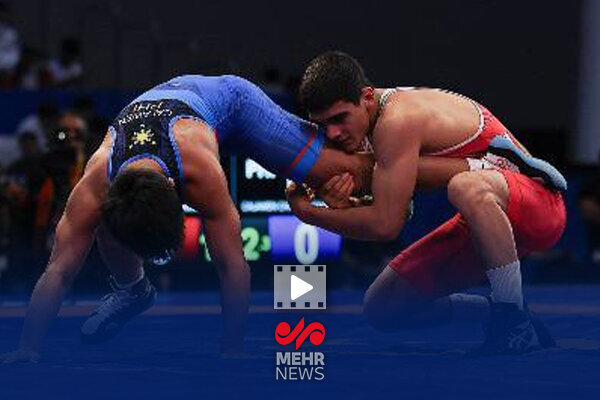 اقتدا به مولا با پرچم ایران؛ مرتضی حاج ملامحمدی طلایی شد