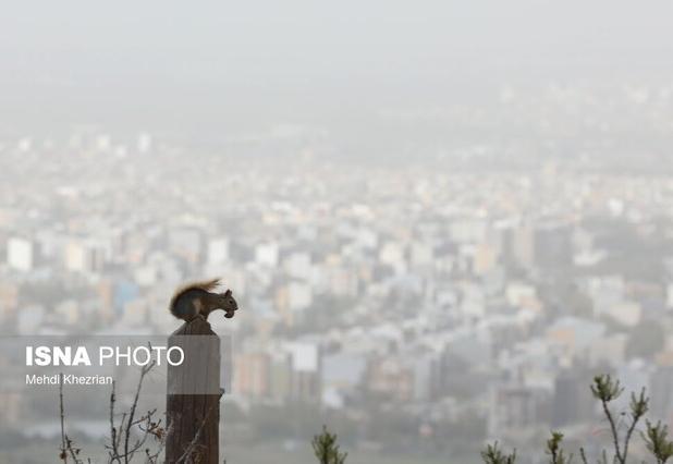 معاون آبخیزداری اداره کل منابع طبیعی استان: کانون گرد و غبار شمال گلستان در مسیر احیا است