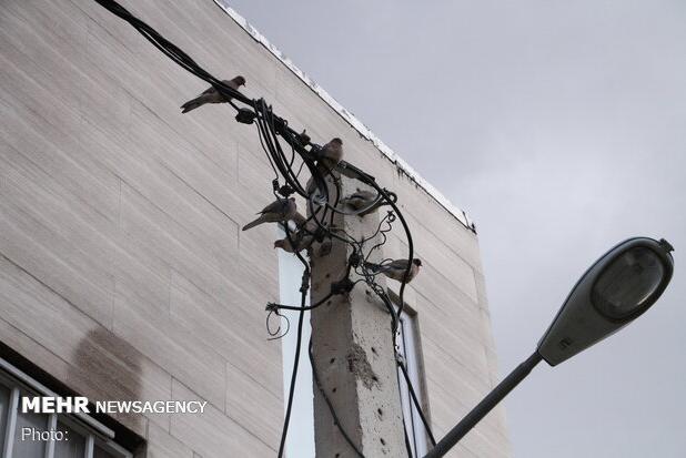جمع‌آوری بیش از ۶۵۰ انشعاب غیرمجاز برق در ورامین