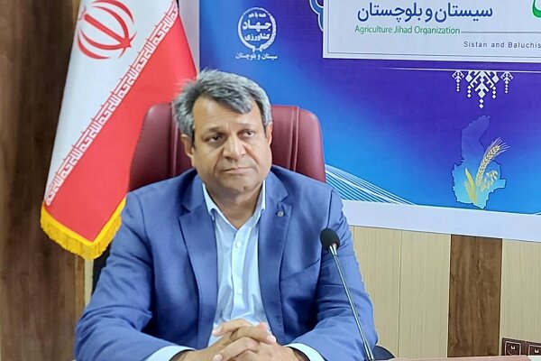 راه‌اندازی ۲۱ روستابازار در سیستان و بلوچستان تا پایان سال