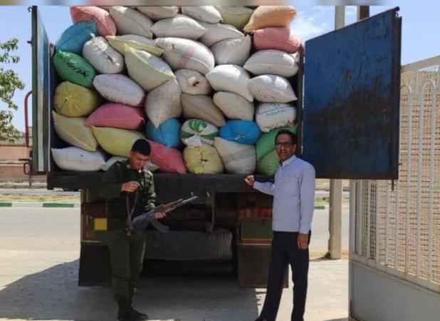 کشف و توقیف ۱۳ تن پسته جنگلی قاچاق در سرخس