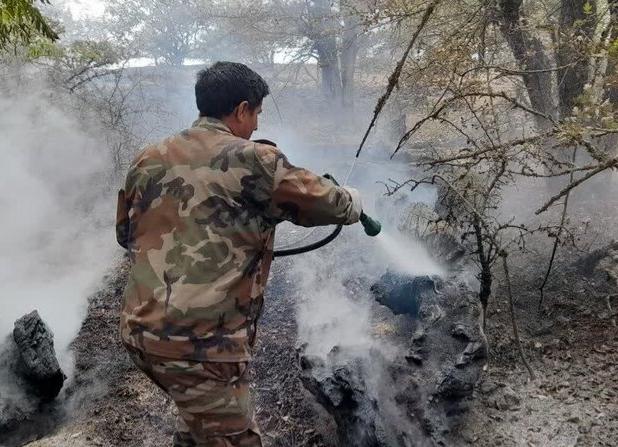 فرمانده یگان حفاظت: حریق‌های جنگلی کرمانشاه به‌شدت کاهش یافت