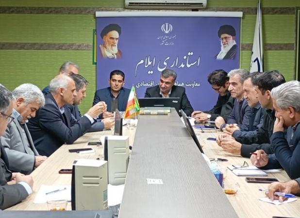 اجرای عرضه مستقیم ۱۷ قلم کالای اساسی در ایلام / حذف دلالان، کلید کاهش قیمت‌ها در بازار