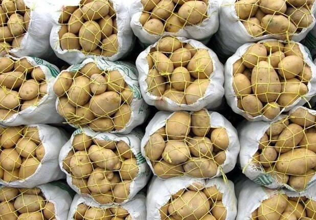 صادرکنندگان همدان نمی‌توانند صادرات سیب‌زمینی کنند