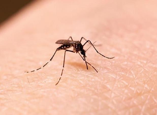 باند تخصصی درمان زخم سالک توسط محققان کاشانی تولید شد