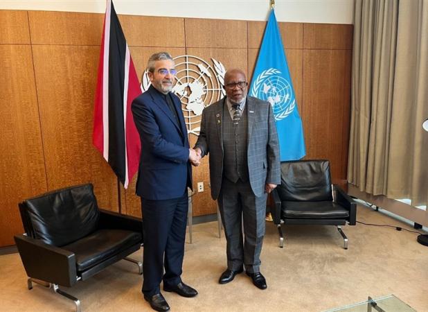 دیدار علی باقری با رئیس مجمع عمومی سازمان ملل
