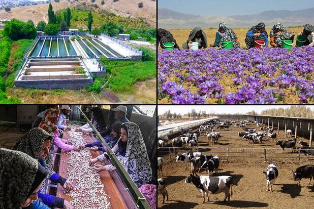 روستاهای کارآفرین؛ افق نوین توسعه محلی