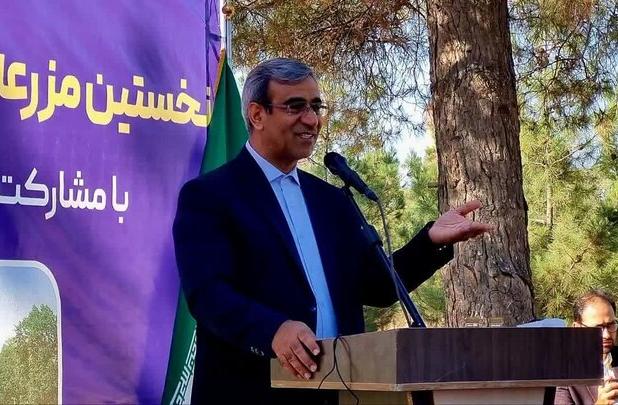 آغاز عملیات اجرایی نخستین مزرعه خورشیدی دولت در مشهد