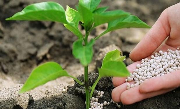 روسیه دومین صادر کننده کود کشاورزی به آمریکا شد