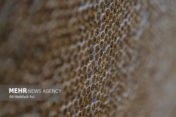 مالیات هر نخ سیگار ۶۵ تومان شد+ جزئیات