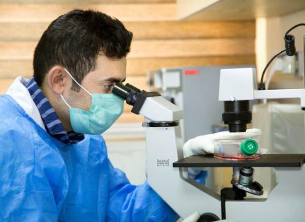 تشریح برنامه‌های هفته پژوهش، رشد ۱۰ برابری تعداد دانش‌آموزان پژوهشگر