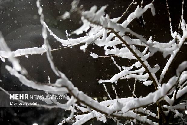 صدور هشدار نارنجی هواشناسی؛ دمای هوا از امروز  ۱۲ درجه سردتر می‌شود