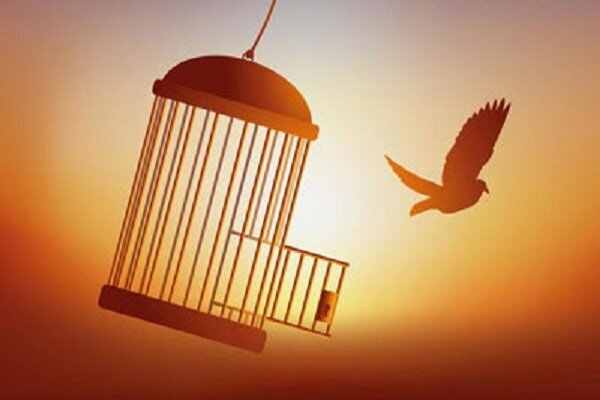 رهایی ۹ زندانی محکوم به قصاص از ابتدای امسال در استان هرمزگان