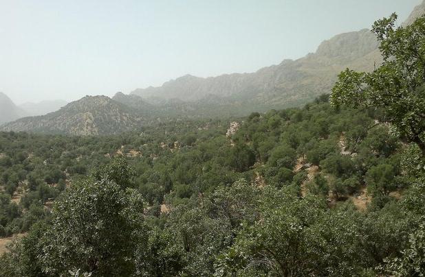 ناقوس مرگ زاگرس؛ زوالی که کمک می‌طلبد