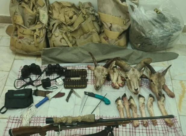 دستگیری متخلف شکار قوچ وحشی در کاشان