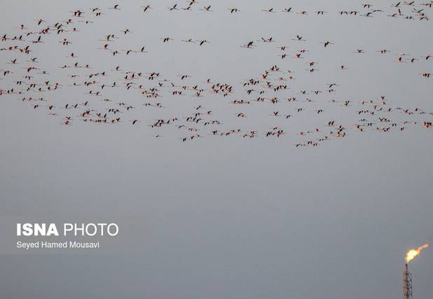 هوای خوزستان؛ ۵ شهر «پاک»، ۲ شهر «ناسالم»