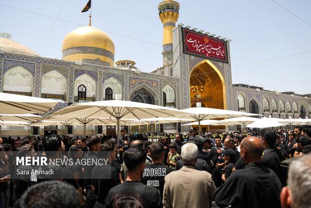 حضرت علی بن موسی الرضا (ع) الگوی دشمن‌شناسی در تاریخ اسلام