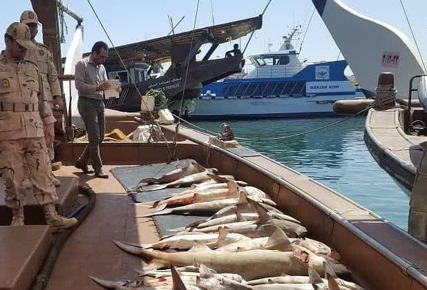 تشدید برخورد با صید غیرمجاز در آب‌های خوزستان
