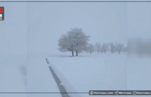 سفیدپوش شدن روستای نوروزآباد
