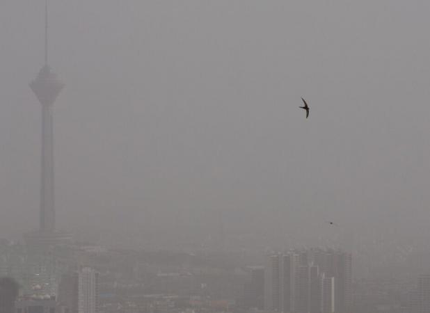 هوای تهران در مرز آلودگی قرار دارد