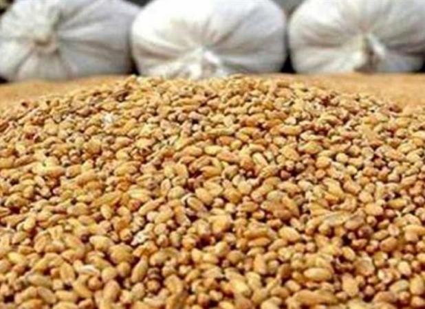 ثبت سفارش سیستمی نهاده دامی و روغن آغاز شد