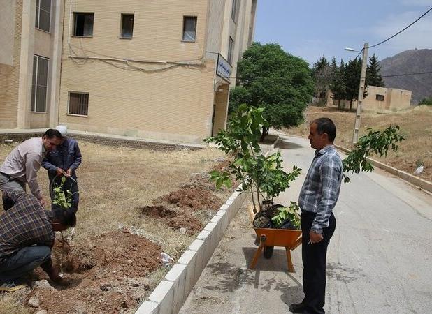پروژه گسترش درخت‌کاری و ارتقای فضای سبز در دانشگاه لرستان آغاز شد