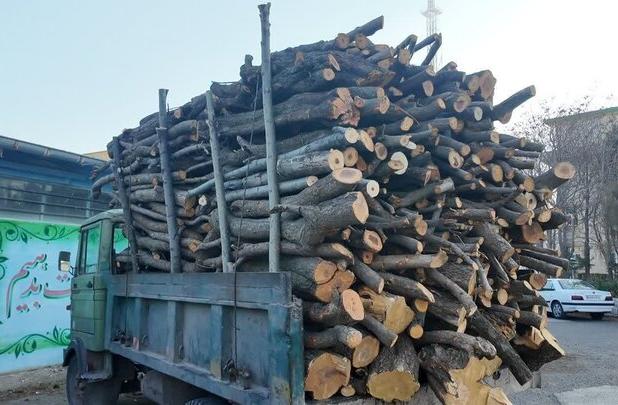 هدایت:یک دستگاه کامیونت حامل ۴تن هیزم جنگلی در استان اردبیل توقیف شد