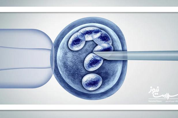 لقاح آزمایشگاهی (IVF) چگونه انجام می شود؟