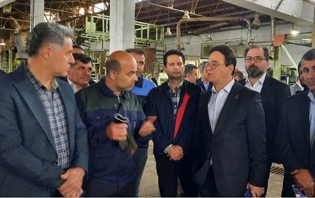 گرجی پور: صنایع چوب اسالم باید از سیاست زدگی دور شود