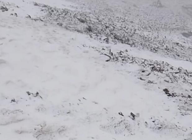 پیش‌بینی بارش برف در ارتفاعات لرستان