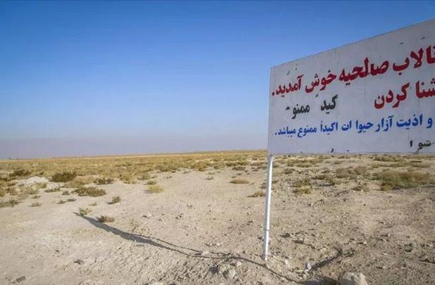 همه چیز درباره تالاب صالحیه؛ یکی از کانون‌های ریزگرد نیازمند حق آبه