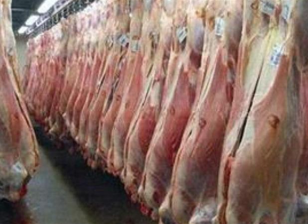 شرایط واردات گوشت قرمز و دام از ۷ کشور فراهم شد