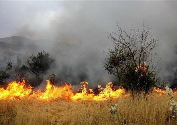 ۳۵ هکتار از اراضی کشاورزی خرم‌آباد طعمه حریق شد