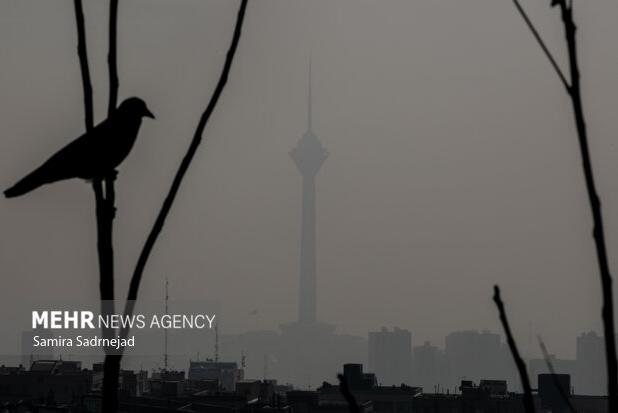 آلودگی هوا دست از سر تهران بر نمی‌دارد؛ وضعیت دوباره قرمز شد
