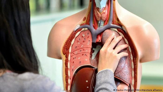 پیشرفت شگفت‌انگیز در علم پزشکی با کشف جدید