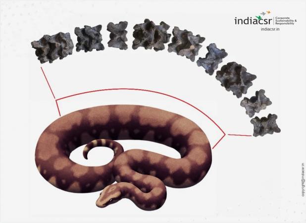 بزرگ‌ترین ماری که زمین به خود دیده است