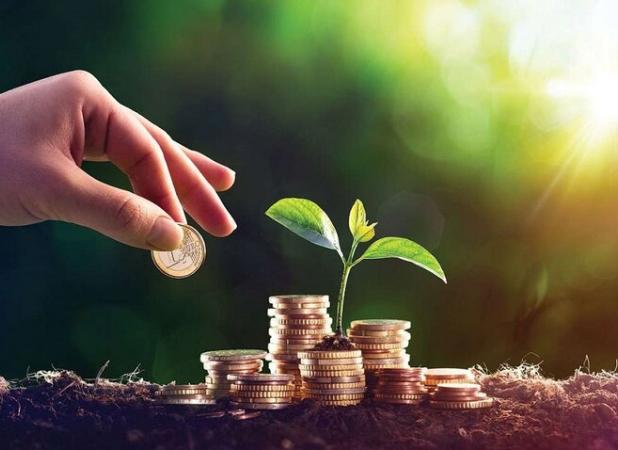 دلالان، منتفعان اصلی قیمت‌گذاری دستوری