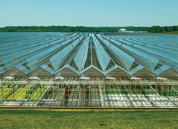 تمرکز سرمایه‌گذاری در بخش کشاورزی و شیلات سیستان و بلوچستان