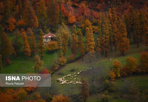 تداوم پایداری هوا تا اواسط هفته آینده در گیلان