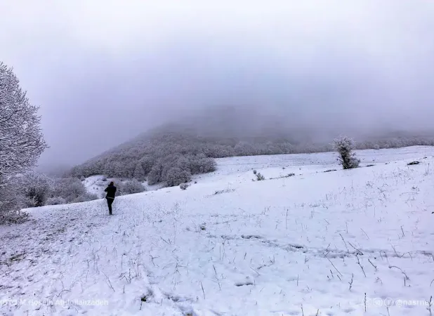 سازمان هواشناسی برای آخر هفته هشدار داد