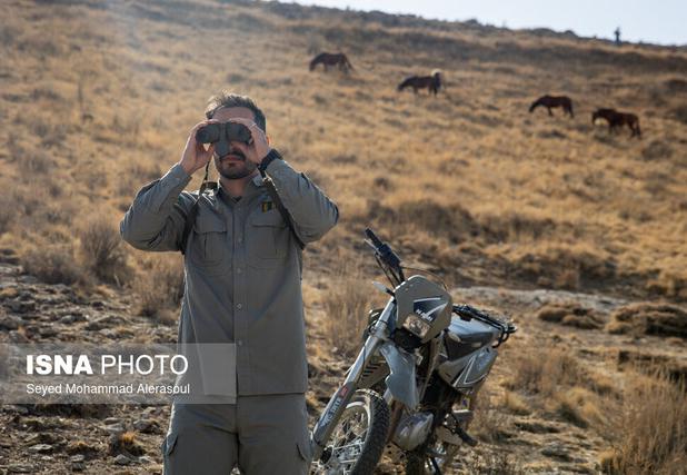 کمبود نیروی انسانی محیط‌بان در خراسان رضوی