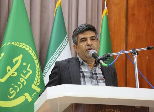 توسعه کشاورزی با بهره‌وری و حمایت همه‌جانبه ممکن است